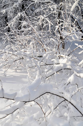 Similar image 2999502