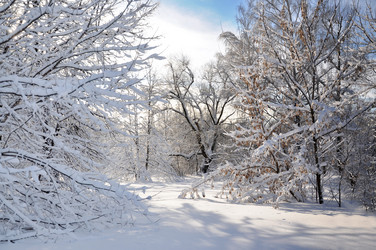 Similar image 2999513