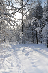 Similar image 2999514