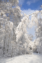 Similar image 2999522