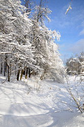 Similar image 2999528