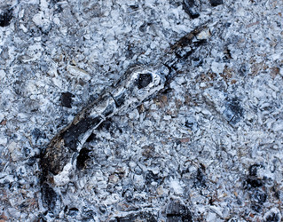 Similar image 2999535