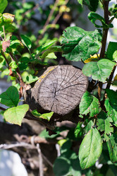 Similar image 2999536