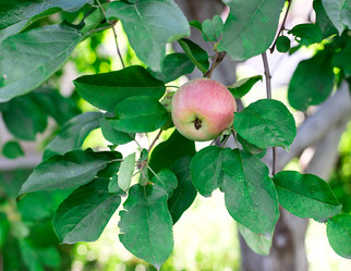 Similar image 2999537