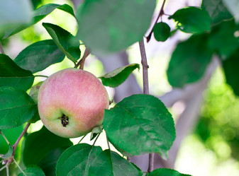 Similar image 2999538