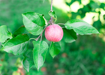 Similar image 2999539