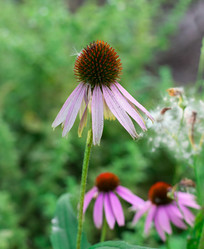 Similar image 2999541