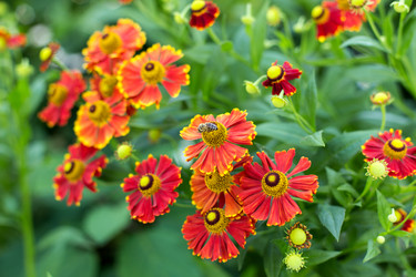 Similar image 2999542