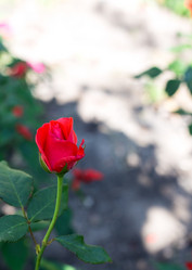 Similar image 2999544