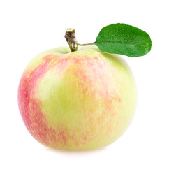 Similar image 2999556