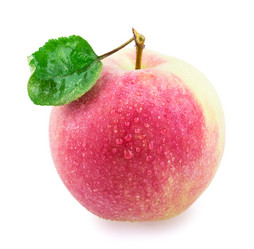 Similar image 2999564