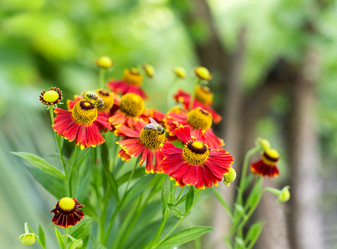 Similar image 2999565