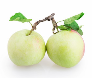 Similar image 2999569