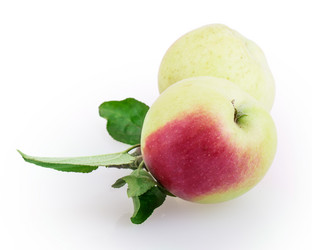 Similar image 2999570