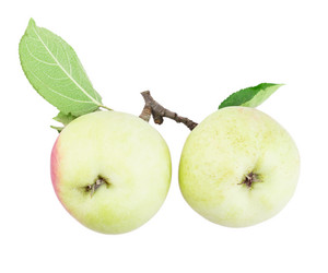 Similar image 2999571