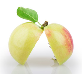 Similar image 2999585