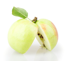 Similar image 2999586