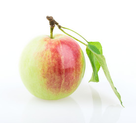 Similar image 2999587