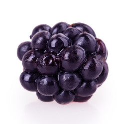 Similar image 2999672