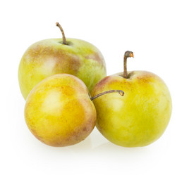 Similar image 2999683