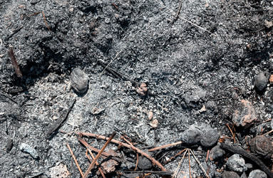 Similar image 2999706