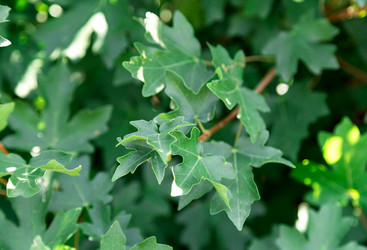 Similar image 2999708