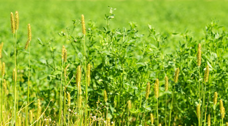 Similar image 2999711