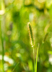 Similar image 2999712