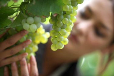 Similar image 2999715