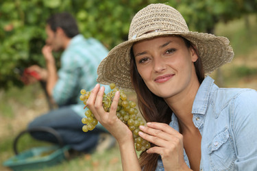 Similar image 2999716