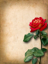 Similar image 2999938