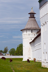 Similar image 2999950