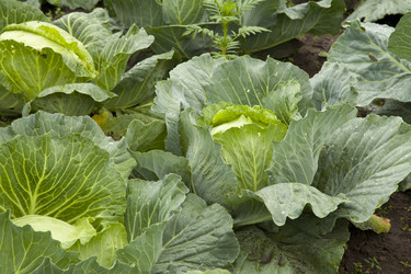 Similar image 2999961