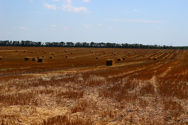 Similar image 2999970