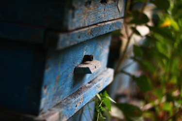 Similar image 2999971