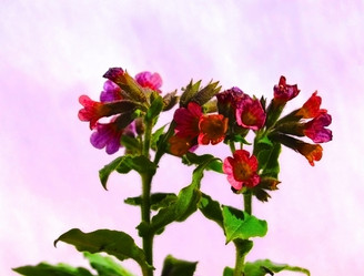 Similar image 2999977