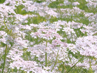 Similar image 2999979