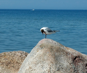 Similar image 2999981