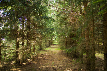 Similar image 2999989