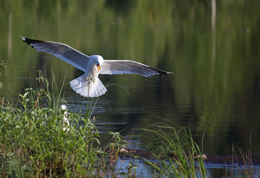 Similar image 3000007