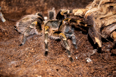 Similar image 3000008