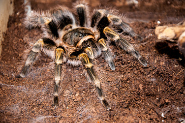 Similar image 3000009