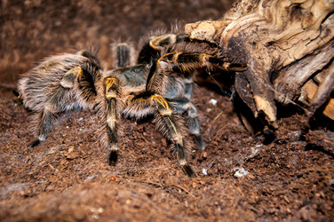 Similar image 3000010