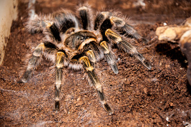 Similar image 3000011