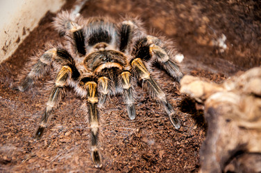 Similar image 3000012