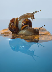 Similar image 3000013