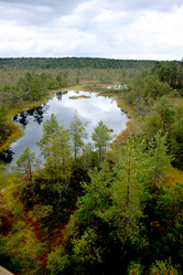 Similar image 3000047