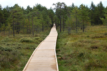 Similar image 3000061