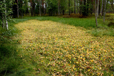 Similar image 3000062