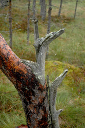 Similar image 3000064